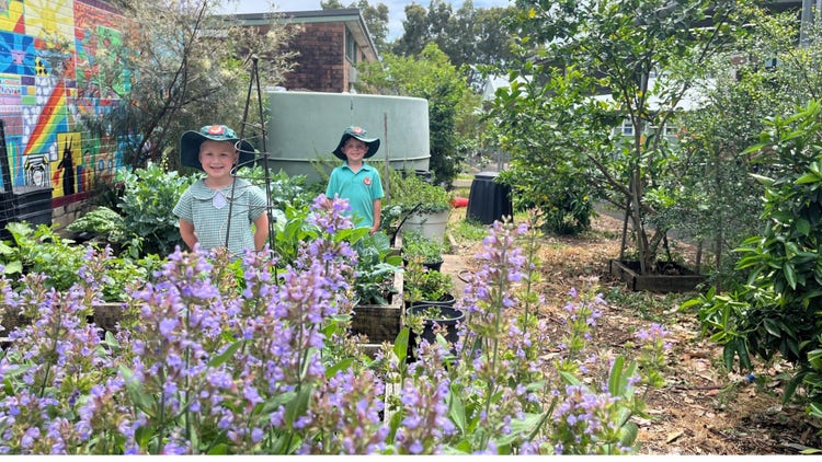 Two students standing in the school garden amongst herbs and lilac coloured flowers